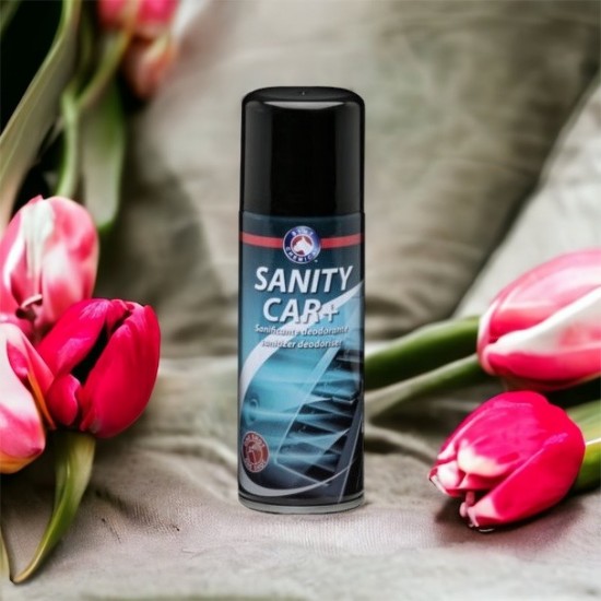 Synt Chemical - Sanity Car + auto deodorant
