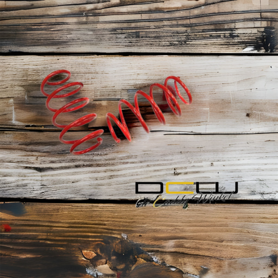 DCW Verlagingsveren 50mm - Volkswagen Caddy MK3 GP