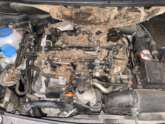 Achterspoiler Achterdeuren Hoogglans Zwart DCW1 - Volkswagen Caddy MK4