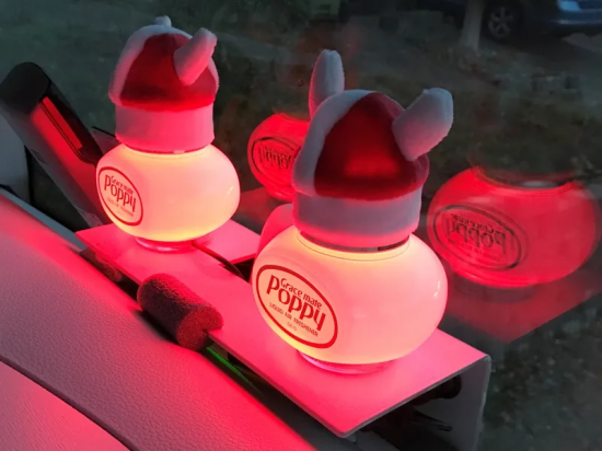 Poppy Grace Mate ® ledverlichting Rood - Aanstekerplug