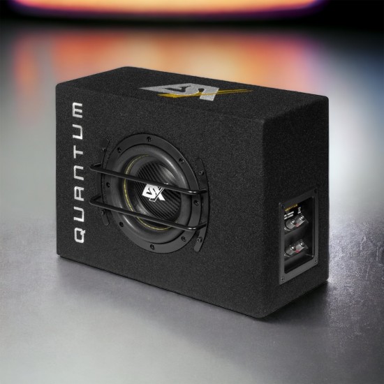 ESX Quantum QSB6 Sub met kist 500 watt - Volkswagen Caddy