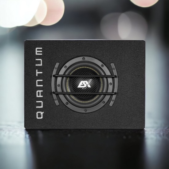 ESX Quantum QSB6 Sub met kist 500 watt - Volkswagen Caddy